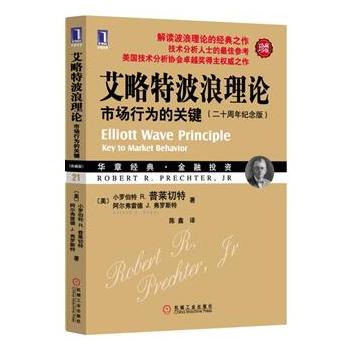 艾略特波浪理论：市场行为的关键PDF,TXT迅雷下载,磁力链接,网盘下载