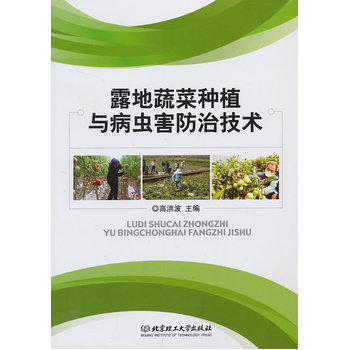 露地蔬菜种植与病虫害防治技术PDF,TXT迅雷下载,磁力链接,网盘下载