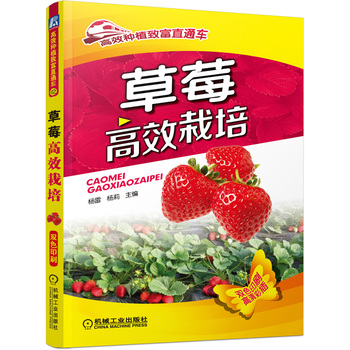 草莓高效栽培(高效种植致富直通车)PDF,TXT迅雷下载,磁力链接,网盘下载