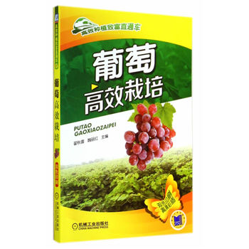 葡萄高效栽培(高效种植致富直通车)PDF,TXT迅雷下载,磁力链接,网盘下载