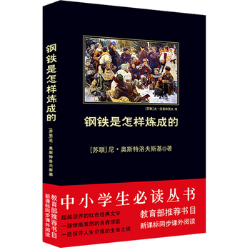 钢铁是怎样炼成的PDF,TXT迅雷下载,磁力链接,网盘下载