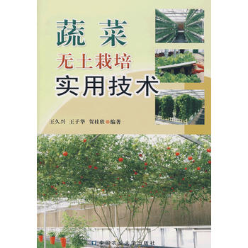 蔬菜无土栽培实用技术PDF,TXT迅雷下载,磁力链接,网盘下载