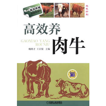 高效养肉牛PDF,TXT迅雷下载,磁力链接,网盘下载