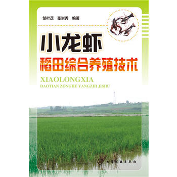 小龙虾稻田综合养殖技术PDF,TXT迅雷下载,磁力链接,网盘下载