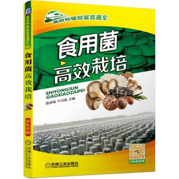 食用菌高效栽培PDF,TXT迅雷下载,磁力链接,网盘下载