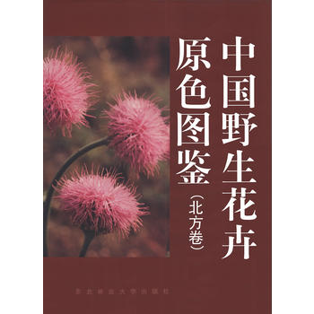中國野生花卉原色圖鑒:北方卷PDF,TXT迅雷下載,磁力鏈接,網盤下載