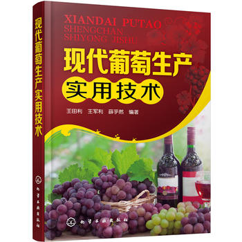现代葡萄生产实用技术PDF,TXT迅雷下载,磁力链接,网盘下载