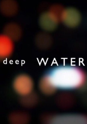 2016年其它歐美劇《深水迷案第一季》連載至4
