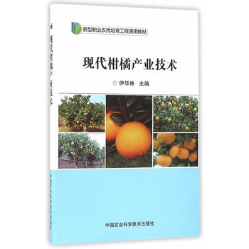 现代柑橘产业技术PDF,TXT迅雷下载,磁力链接,网盘下载
