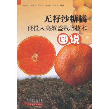 无籽沙糖橘低投入高效益栽培技术图说PDF,TXT迅雷下载,磁力链接,网盘下载