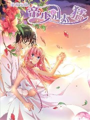 帝少别太猛