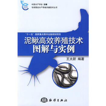 泥鳅高效养殖技术图解与实例PDF,TXT迅雷下载,磁力链接,网盘下载