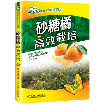 砂糖橘高效栽培PDF,TXT迅雷下载,磁力链接,网盘下载