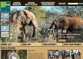 国际野生生物保护学会官网