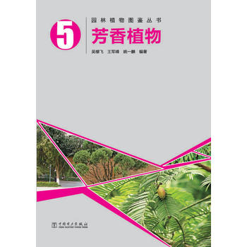 园林植物图鉴丛书——芳香植物PDF,TXT迅雷下载,磁力链接,网盘下载