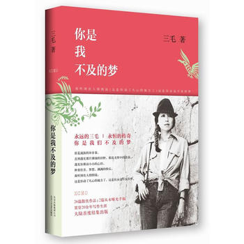 你是我不及的梦PDF,TXT迅雷下载,磁力链接,网盘下载