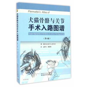 犬猫骨骼与关节手术入路图谱PDF,TXT迅雷下载,磁力链接,网盘下载