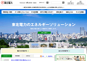 东北电力公司官网