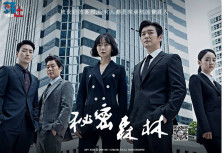 2017年韩国日韩剧《秘密森林》连载至4