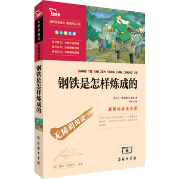 钢铁是怎样炼成的PDF,TXT迅雷下载,磁力链接,网盘下载