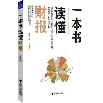 一本书读懂财报PDF,TXT迅雷下载,磁力链接,网盘下载