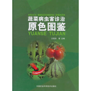 蔬菜病虫害诊治原色图鉴PDF,TXT迅雷下载,磁力链接,网盘下载