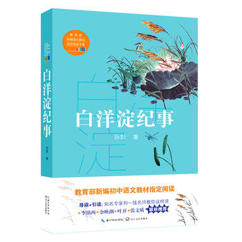 白洋淀纪事PDF,TXT迅雷下载,磁力链接,网盘下载