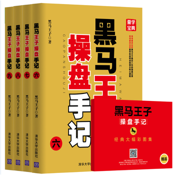 黑马王子操盘手记PDF,TXT迅雷下载,磁力链接,网盘下载