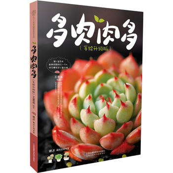 多肉肉多PDF,TXT迅雷下载,磁力链接,网盘下载