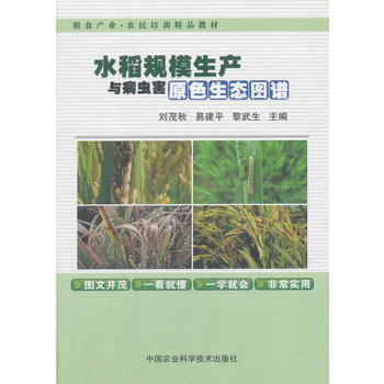 水稻规模生产与病虫害原色生态图谱PDF,TXT迅雷下载,磁力链接,网盘下载