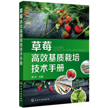 草莓高效基质栽培技术手册PDF,TXT迅雷下载,磁力链接,网盘下载
