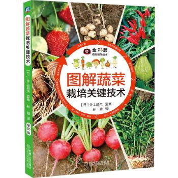 图解蔬菜栽培关键技术PDF,TXT迅雷下载,磁力链接,网盘下载