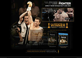 《斗士》（The Fighter）官网