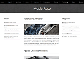 莫斯勒_Mosler Automotive官网