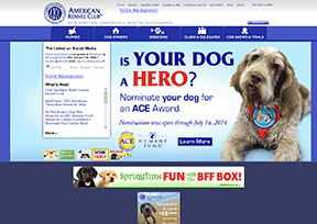 美国犬业俱乐部官网