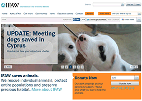 国际爱护动物基金会官网