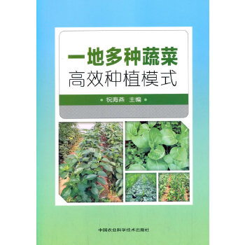 一地多种蔬菜高效种植模式PDF,TXT迅雷下载,磁力链接,网盘下载