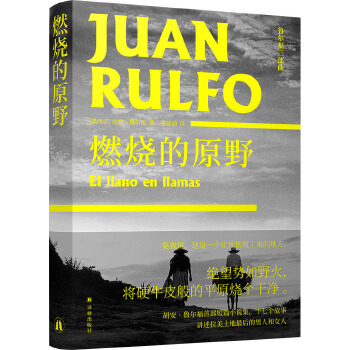 燃烧的原野PDF,TXT迅雷下载,磁力链接,网盘下载