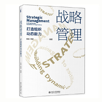 战略管理：打造组织动态能力PDF,TXT迅雷下载,磁力链接,网盘下载