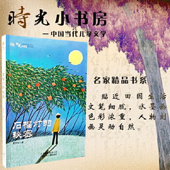 时光小书房系列   石榴灯的秘密  北京少年儿童出版社PDF,TXT迅雷下载,磁力链接,网盘下载