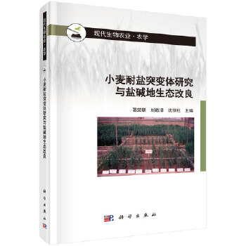 小麦耐盐突变体研究与盐碱地生态改良PDF,TXT迅雷下载,磁力链接,网盘下载