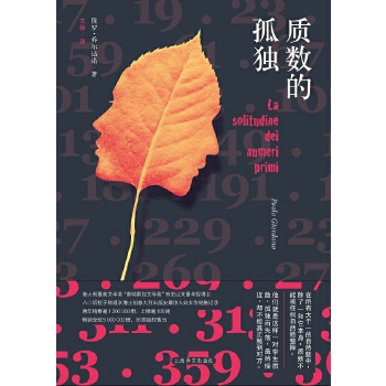 质数的孤独PDF,TXT迅雷下载,磁力链接,网盘下载