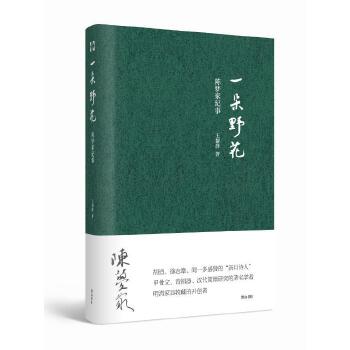 一朵野花PDF,TXT迅雷下载,磁力链接,网盘下载